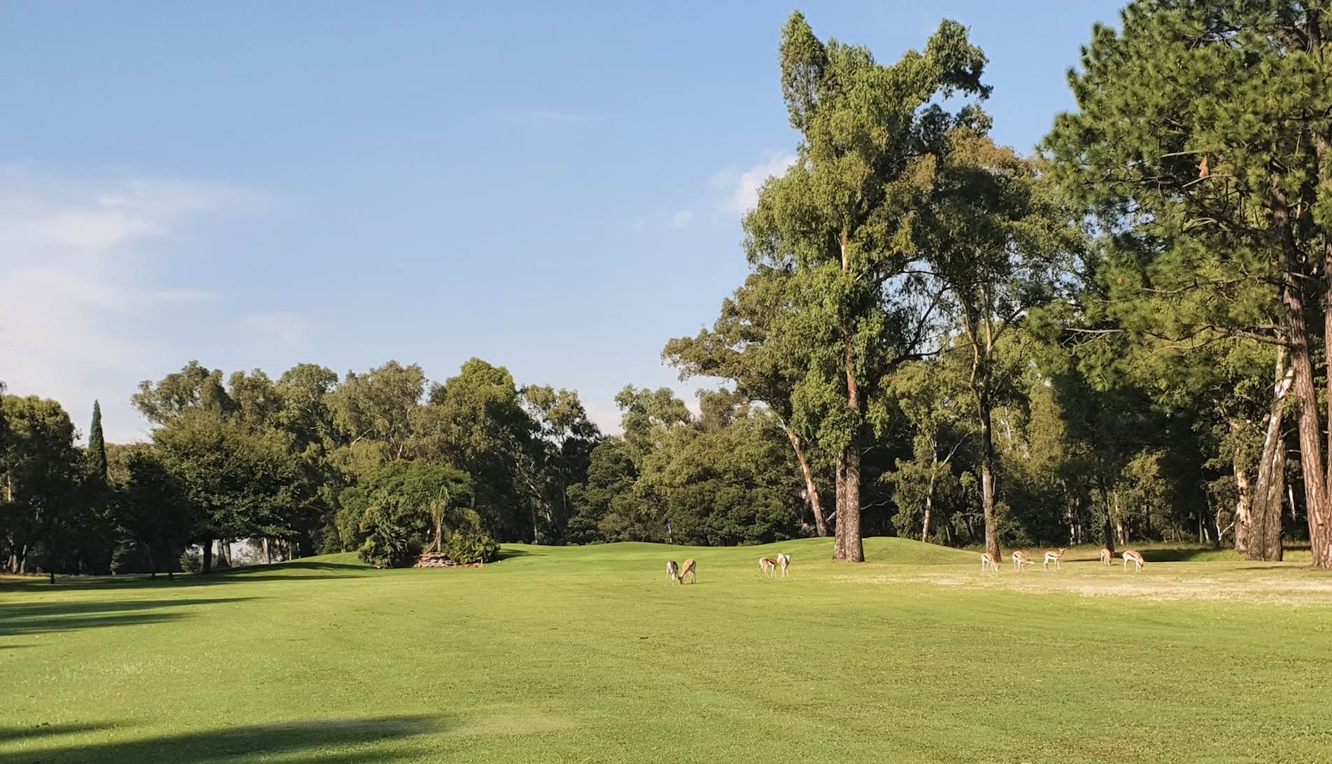 13th hole Benoni Country Club | Compleat Golfer