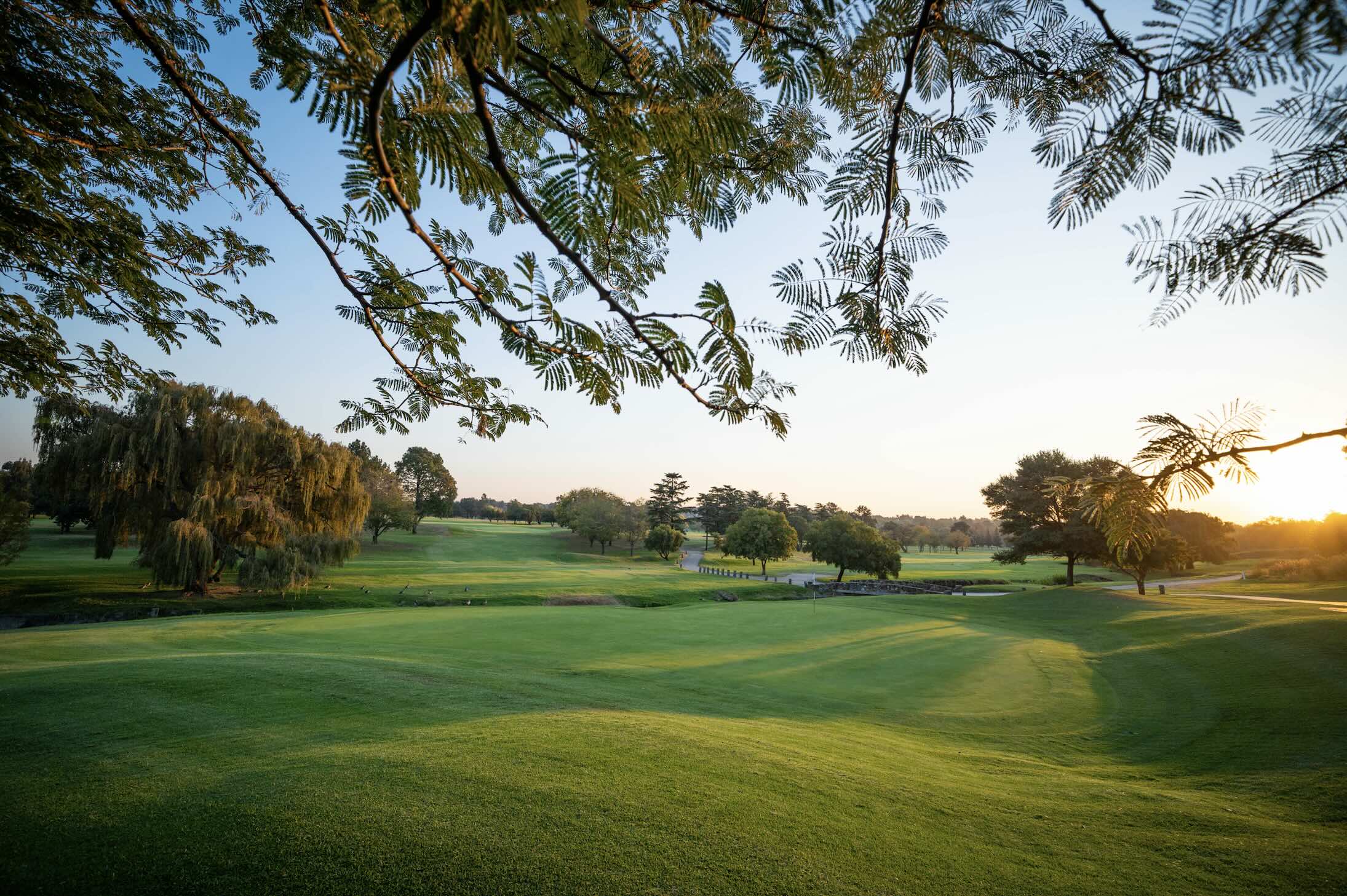 17th Modderfontein Golf Club