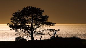 Torrey Pines North 24 jan 2025 Course Farmers Insurance Open Sean M. Haffey/Getty Images