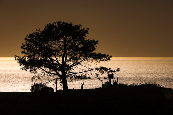 Torrey Pines North 24 jan 2025 Course Farmers Insurance Open Sean M. Haffey/Getty Images