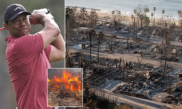 Woods pledges support amid loss of LA fires