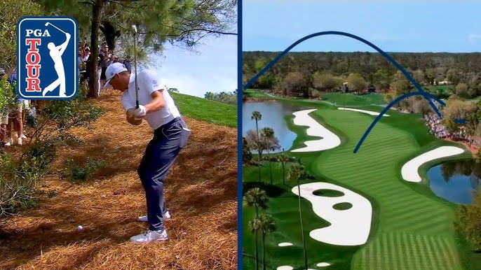 Watch: Spieth goes left-handed to escape pine straw